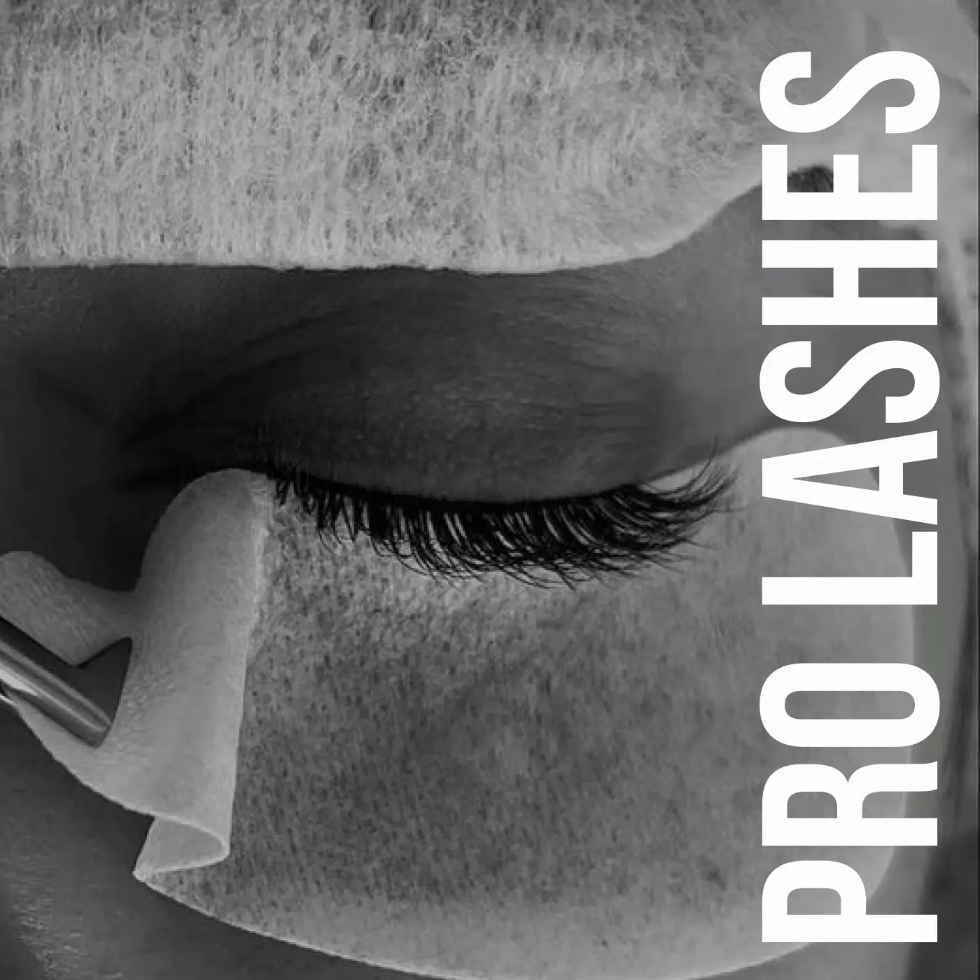 Professional Lashes Course