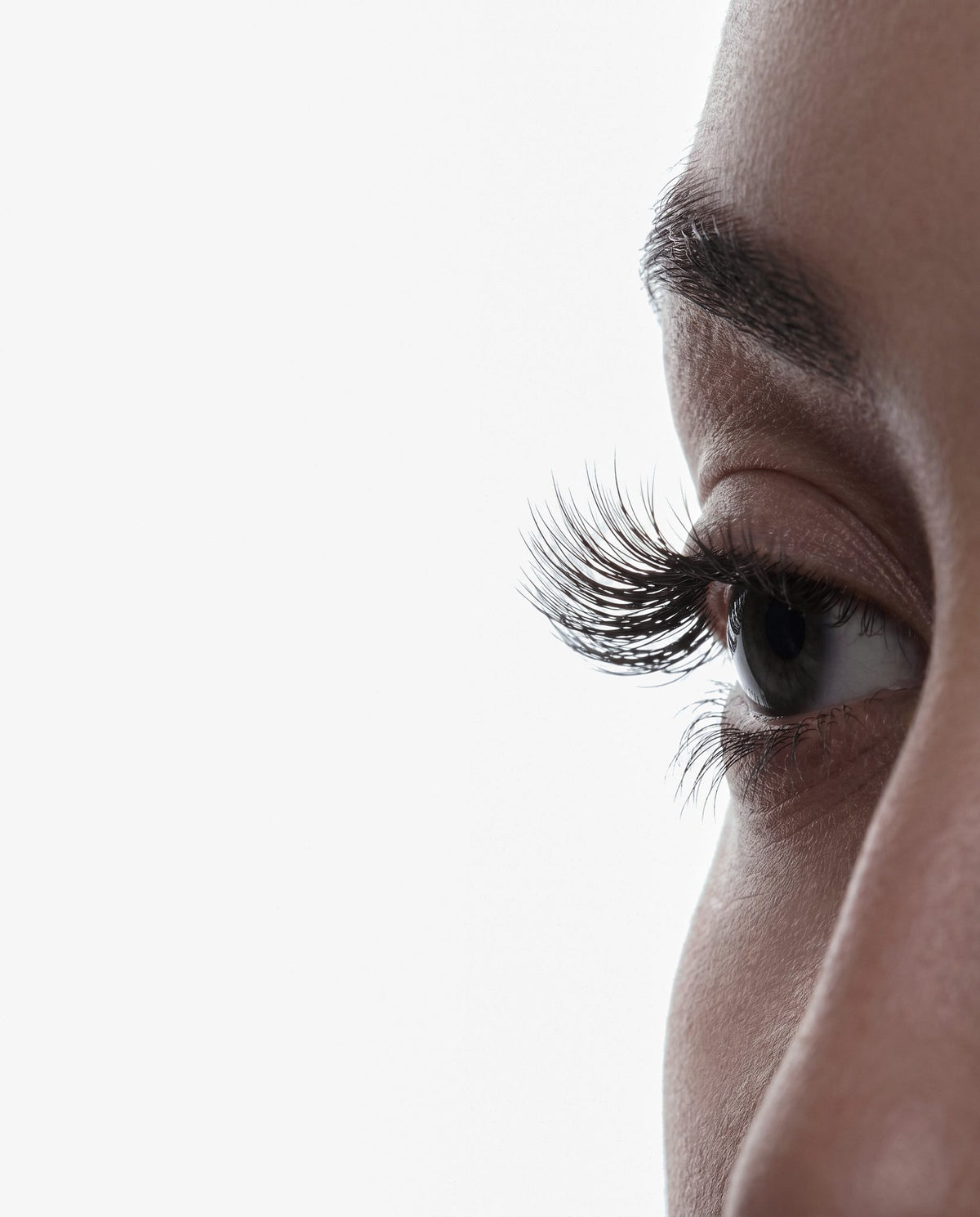 Nahaufnahme eines Auges mit Wimpernverlängerung